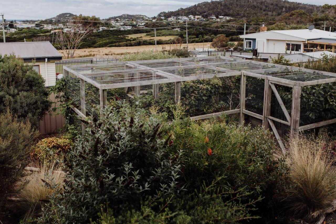 Bicheno Gardens Vila Exterior foto
